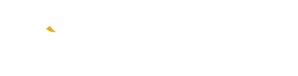 gowego-logo